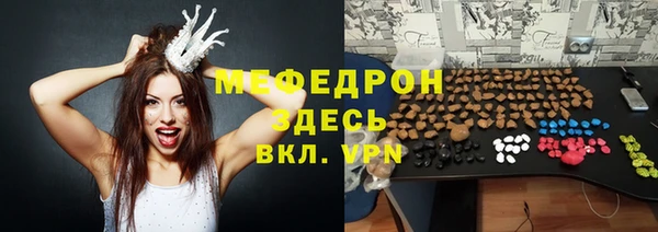 стаф Алексин