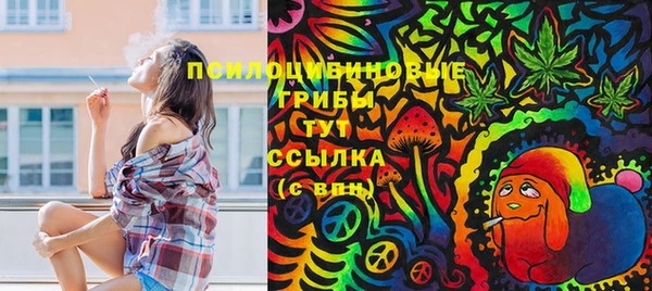 амф Алексеевка