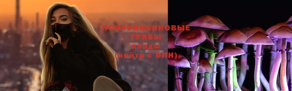 индика Алзамай