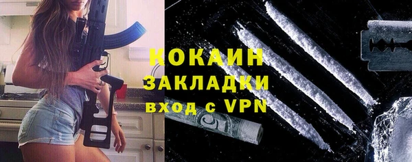 индика Алзамай