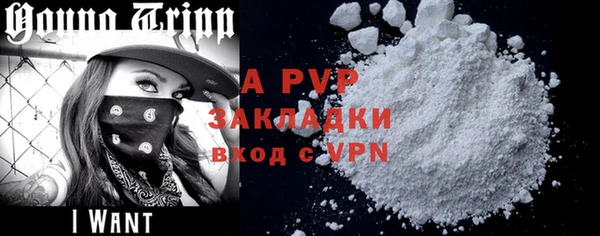 стаф Алексин