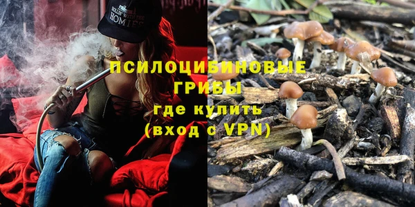 стаф Алексин