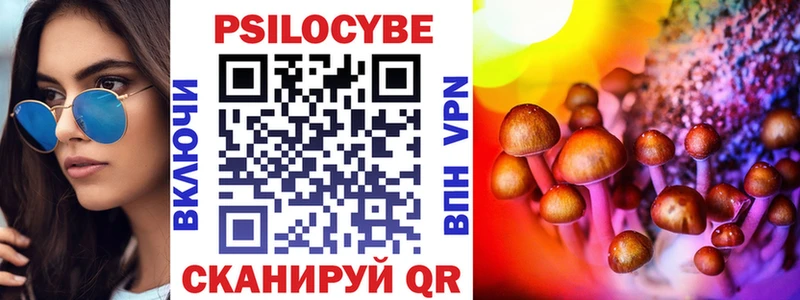магазин продажи наркотиков Себеж Галлюциногенные грибы Psilocybine cubensis